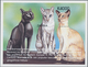 Thematik: Tiere-Katzen / Animals-cats: 1999, ZAMBIA: Cats Set In Of Two IMPERFORATE Miniature Sheets - Katten