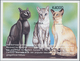 Thematik: Tiere-Katzen / Animals-cats: 1999, ZAMBIA: Cats Set In Of Two IMPERFORATE Miniature Sheets - Domestic Cats