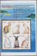 Thematik: Tiere-Katzen / Animals-cats: 2000, TUVALU: Cats Complete Set Of Twelve In Two IMPERFORATE - Hauskatzen