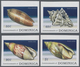 Thematik: Tiere-Meerestiere / Animals-sea Animals: 2009, DOMINICA: Sea Snails Complete IMPERFORATE S - Maritiem Leven