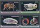 Thematik: Tiere-Meerestiere / Animals-sea Animals: 2010, BRITISH ANTARCTIC TERRITORY: International - Maritiem Leven