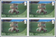 Thematik: Tiere-Meerestiere / Animals-sea Animals: 2012, Cayman Islands. Imperforate Block Of 4 For - Meereswelt