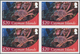 Thematik: Tiere-Meerestiere / Animals-sea Animals: 2012, Cayman Islands. Imperforate Block Of 4 For - Marine Life