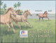 Thematik: Tiere-Pferde / Animals-horses: 2002, Vanuatu. Imperforate Souvenir Sheet Of 1 For The "Hor - Horses