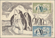 Thematik: Tiere-Vögel / Animals-birds: 1958, French Antarctic Territories. Maximum Card With The Com - Andere & Zonder Classificatie