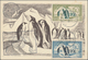 Thematik: Tiere-Vögel / Animals-birds: 1958, French Antarctic Territories. Maximum Card With The Com - Other & Unclassified