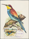 Thematik: Tiere-Vögel / Animals-birds: 1969, Dubai. Maximum Card For The Stamp "60dh Bee-eater". Unu - Andere & Zonder Classificatie