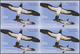 Thematik: Tiere-Vögel / Animals-birds: 2005, Dominica. Imperforate Block Of 4 For The 25c Value Of T - Andere & Zonder Classificatie