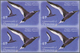 Thematik: Tiere-Vögel / Animals-birds: 2005, Dominica. Imperforate Block Of 4 For The $1 Value Of Th - Andere & Zonder Classificatie