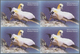 Thematik: Tiere-Vögel / Animals-birds: 2005, Dominica. Imperforate Block Of 4 For The $4 Value Of Th - Autres & Non Classés