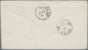 Neusüdwales: 1885, Business Envelope With 3 And 6 Pence QV From SYDNEY, N.S.W. With Hand Written Not - Briefe U. Dokumente