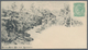 Tasmanien - Ganzsachen: 1898, Pictorial Stat. Envelope QV 2d. Green With Picture On Front 'ON THE NO - Briefe U. Dokumente