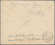 Delcampe - Brasilien - Ganzsachen: 1915/1921, Group Of Three 200 R Blue 'liberty Head' Postal Stationery Envelo - Postwaardestukken