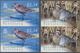 Britisches Territorium Im Indischen Ozean: 2004, Bird Definitives Complete Set Of Twelve In Vertical - Other & Unclassified