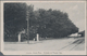 Costa Rica: 1923, Pictorial Stat. Postcard 4c. Red 'Coffee Plant' With Red Advert. 'Drink Costa Rica - Costa Rica