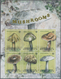 Dominica: 2009, Mushrooms Complete Set Of Four And The Sheetlet With Further Six Stamps All IMPERFOR - Dominica (...-1978)