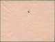 Französisch-Guinea: 1916 (30.5.), Stat. Envelope 25c. Blue/rose 'Palm Trees' Commercially Used From - Andere & Zonder Classificatie