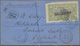 Französische Somaliküste: 1899, Definitives "Views Of Djibouti" 1fr. Olive/black, Single Franking On - Covers & Documents