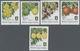 Jungferninseln / Virgin Islands: 2004/2007, Definitive Issue 'fruits' 13 Different IMPERFORATE Stamp - British Virgin Islands