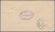 Liberia: 1890, Envelope 5 C. Red Canc. Oval "German Sea Posts Hamburg Westafrica 11.11.90 XIX" To Ga - Liberia