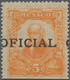 Mexiko - Dienstmarken: 1911, 5 C. Orange OFICIAL In Serifed Letters 20x3 Mm, (Sc. O79var.), Official - Mexiko