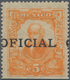 Mexiko - Dienstmarken: 1911, 5 C. Orange OFICIAL In Serifed Letters 20x3 Mm, (Sc. O79var.), Official - Mexico