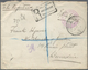 Neuseeland - Dienstmarken: 1896 (19.9.), Registered Cover With Purple 'NEW ZEALAND OFFICIAL PAID' Hs - Dienstmarken