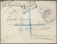 Neuseeland - Dienstmarken: 1896 (19.9.), Registered Cover With Purple 'NEW ZEALAND OFFICIAL PAID' Hs - Officials