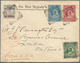 Nigerküste: 1894 (16.7.), QV Definitives ½d. Green, 1d. Blue And 2½d. Carmin-lake And Additional Bri - Andere & Zonder Classificatie