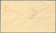 El Salvador - Ganzsachen: 1888, Stationery Envelopes 5 C "PROVISIONAL" In Two Different Paper Colour - El Salvador