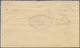 El Salvador - Ganzsachen: 1892, Two Stationery Envelopes: 10 C Brown On Salmon And 11 C Red On Light - El Salvador