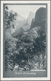 Delcampe - Südafrika - Ganzsachen: 1927, Six Pictorial Stat. Postcards Ship-type 1½d. Brown/black With Differen - Andere & Zonder Classificatie