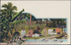 Tonga: 1907, Four Pictorial Stat. Postcards 1d. Native Tree Showing Different Views On Reverse Incl. - Tonga (...-1970)