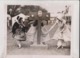 PRINCE ARTHUR GARDEN FETE OF CONNAUGHT ROYAL BOTANIC GARDENS OXFORD PILLORY 25*20CM Fonds Victor FORBIN 1864-1947 - Sin Clasificación