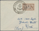 Französische Besetzung I. WK - Castellorizo: 1920, French Levant 2pi. On 50c. Brown/light Blue (few - Other & Unclassified