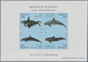 Delcampe - Monaco: 1992/1994, Whales And Dolphins Set Of Three Different IMPERFORATE Miniature Sheets, Mint Nev - Ongebruikt
