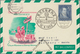 Österreich - Besonderheiten: 1952, BALLONPOST - Zuleitung DEUTSCHLAND (BRD): Pro Juventute Postkarte - Sonstige & Ohne Zuordnung