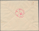 Rumänien: 1920/1927, 1 Leu Violet Pair, 2 Rose And 6 Leu Blue On Cover From The RED CROSS, Bukarest - Used Stamps