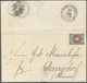 Russland: 1879, 7 K. Grey & Rose On VERT. LAID PAPER, Used As Single Franking On 1879 Cover From St. - Gebruikt