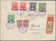 Russische Post In Der Levante - Staatspost: 1913, Colourful Mixed Franking With Violet Double Circle - Turkish Empire