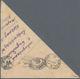 Sowjetunion - Besonderheiten: 1941, Birobidjan Jewish Autonomic Region, Unfranked Letter Sent From C - Other & Unclassified