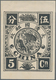 China: 1894, Dowager, About 9 Times Enlarged Black Prints On Ungummed Unwmkd. Western Paper, Cpl. Se - 1912-1949 République
