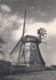 Postcard Windmuhle In Schleswig Holstein [ Windmill ] My Ref  B23739 - Windmills