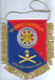 FANION 8° RA REGIMENT D' ARTILLERIE REGIMENT D' AUSTERLITZ - Drapeaux