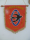 FANION 170° RI REGIMENT D' INFANTERIE EPINAL - Drapeaux