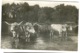 PÖSTYEN BAD PISTYAN OX Wagon Ochsenwagen Real Photo F.-Jg.  C. 1910 - Hungría