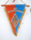 FANION 150° RI REGIMENT D' INFANTERIE VERDUN - Drapeaux