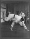 JUDO - MILANO -  Photo CM. 24 X18 - Sport