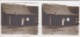 8 Plaques De Verre , C'etait Dans Le Papier Photographié  Ecrit RENEVILLE OU BENEVILLE ,promenade à Travers La Brousse - Plaques De Verre