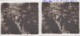 Delcampe - 8 Plaques De Verre , C'etait Dans Le Papier Photographié  Ecrit RENEVILLE OU BENEVILLE ,promenade à Travers La Brousse - Plaques De Verre